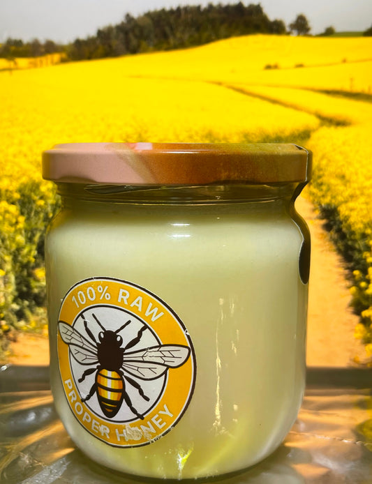 Rapeseed Honey